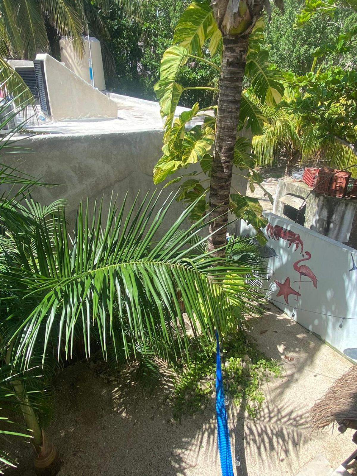 Hotel Pelecanus Suites Holbox מראה חיצוני תמונה